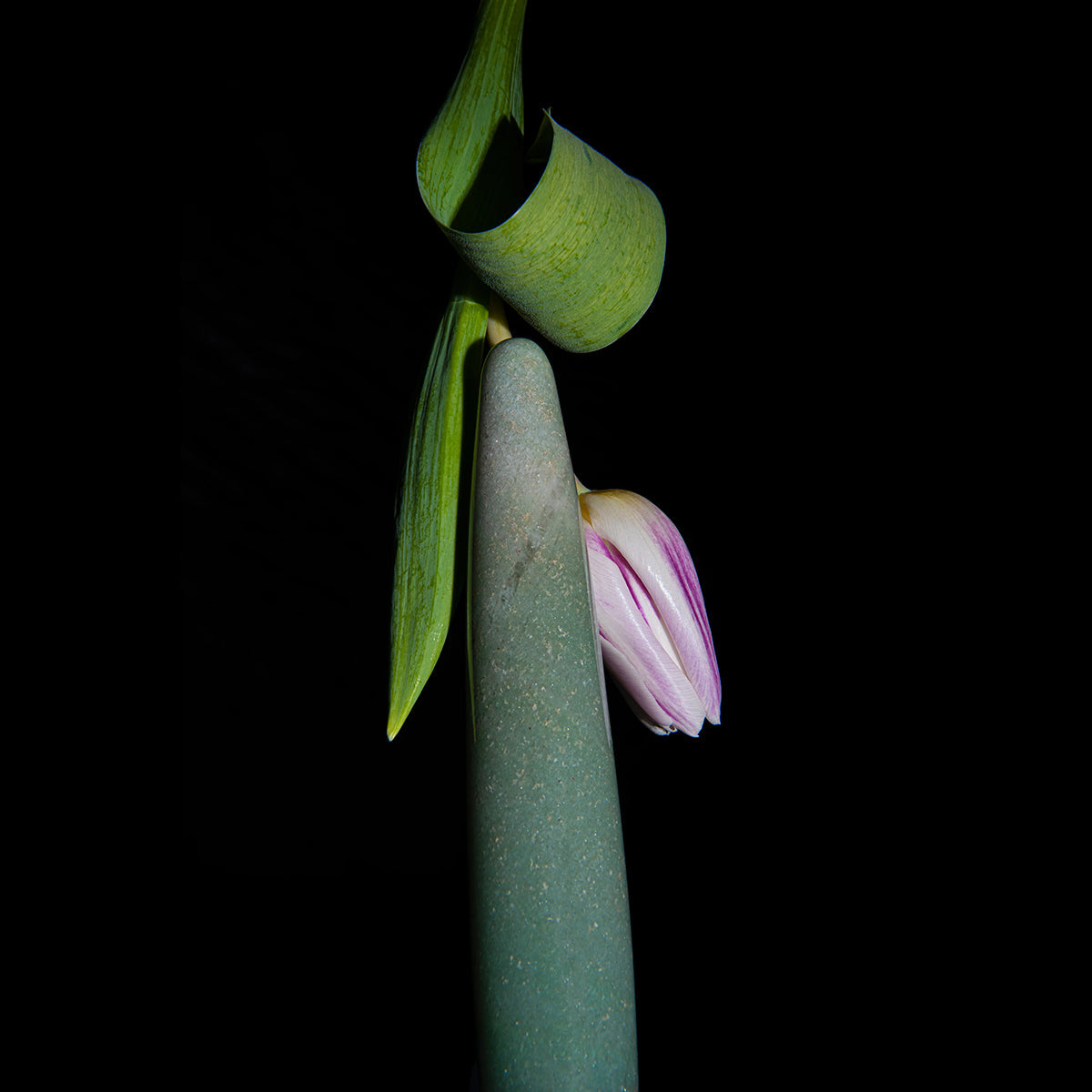 Chakrubs Indian Jade Slim Crystal Dildo with flower and green leaves against a black background.