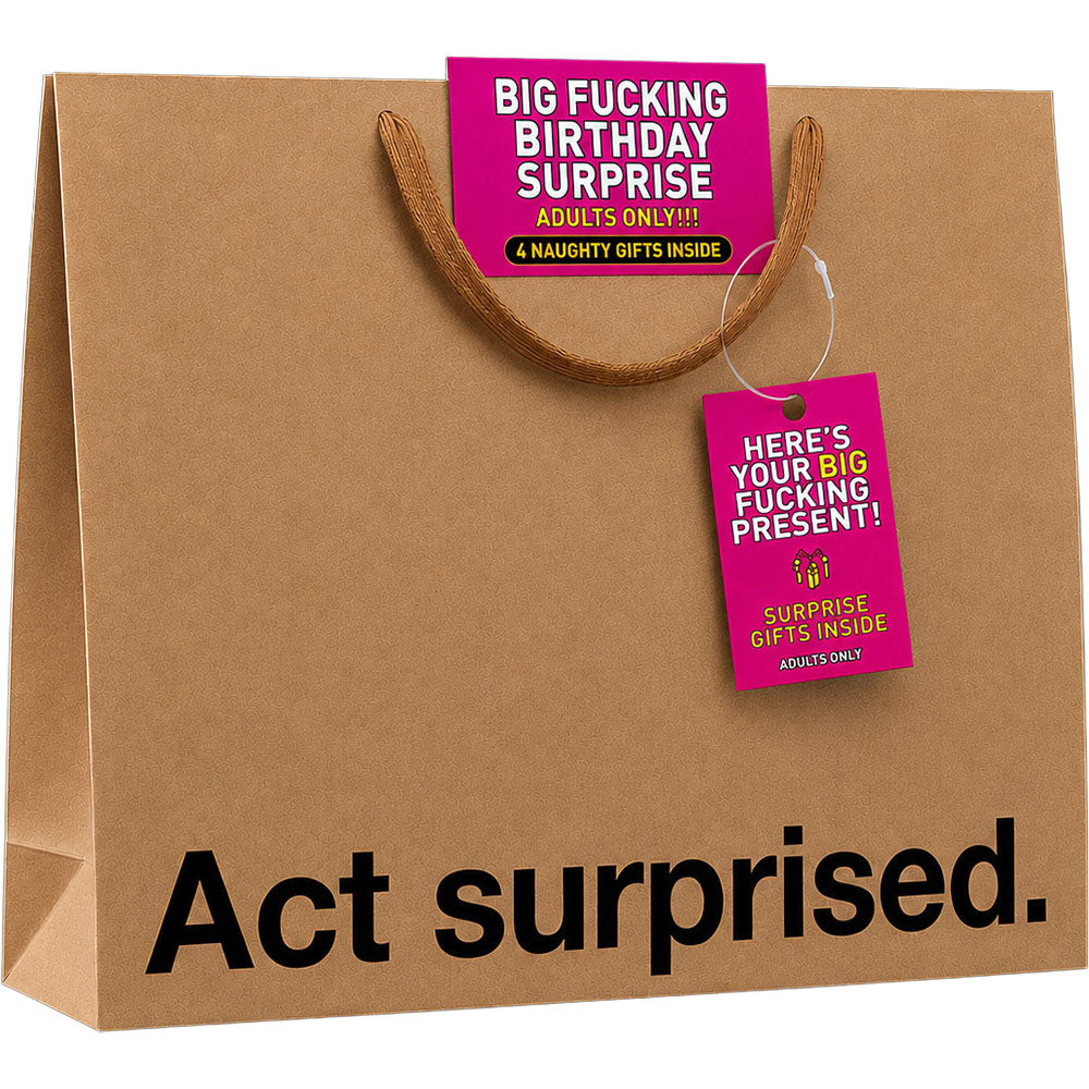 Big Fucking Birthday Surprise Big Present Gift Bag with humor tags announcing surprise gifts inside.