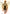 Leg Avenue Iridescent Strapless Fairy Wings Gold featuring shimmering gold wings from the back view.