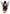 Leg Avenue Glitter Strapless Pixie Wings One Size Black showcasing a whimsical design with textured black wings.