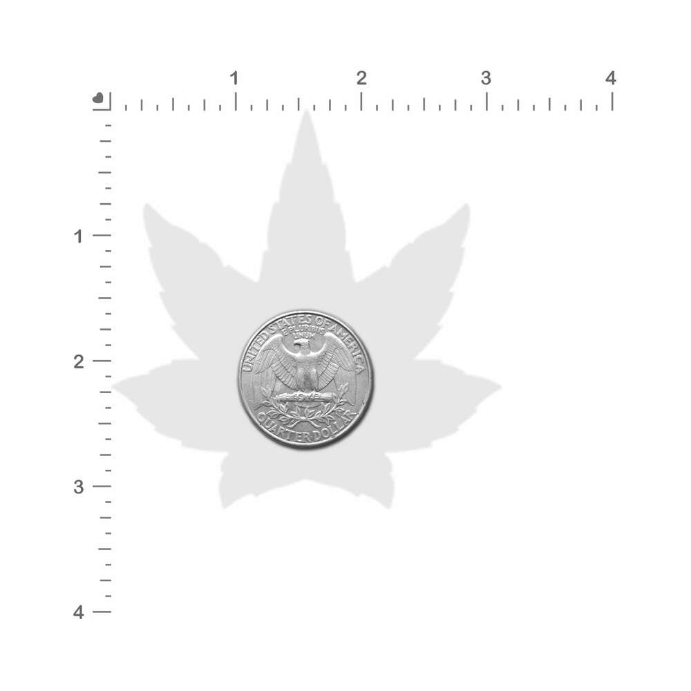 Pastease Indica Pot Leaf Silver Holographic Weed Pasties on a background with a cannabis leaf silhouette.