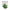 Pastease Indica Pot Leaf Green Holographic Weed Pasties packaging featuring colorful holographic leaf designs.