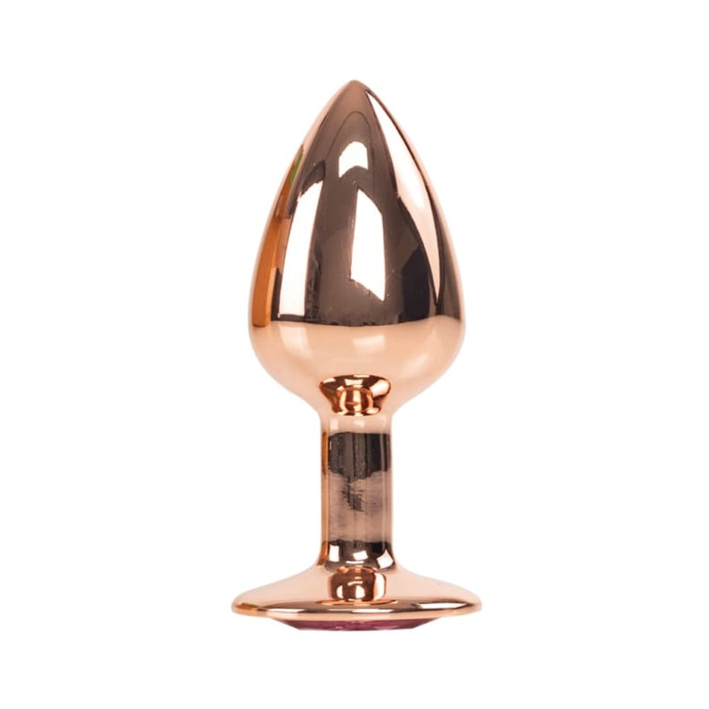 Camtoyz Cobalt Anal Plug Lucio with polished metal finish and decorative stone-accented base.