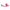SVibe Snail Curve Dual Vibrator Pink showcasing its ergonomic design for G-spot and clitoral stimulation.