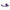 SVibe Snail Curve Dual Vibrator Purple showcasing its ergonomic design for dual stimulation.