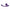 SVibe Snail Curve Dual Vibrator Purple, ergonomic design for dual stimulation and textured clitoral head.