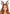 Leg Avenue Fawn Ear Antler Animal Costume Headband worn by a woman with a deer-inspired look and makeup.