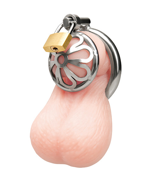 Blue Line Stainless Steel Turtle Head Chastity Cage with secure locking mechanism and compact design.