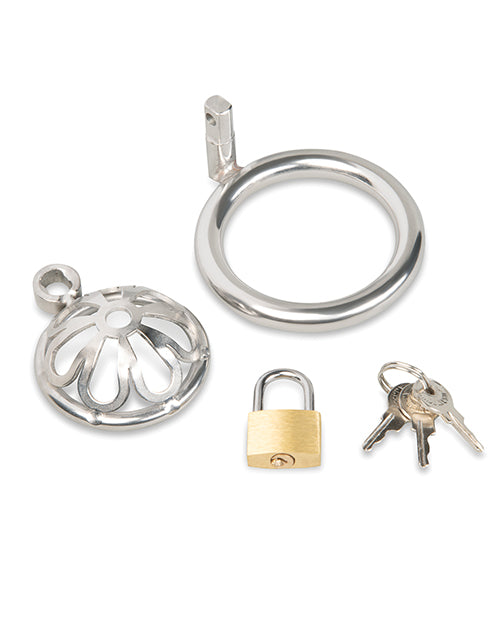 Blue Line Stainless Steel Turtle Head Chastity Cage components including lock and keys.