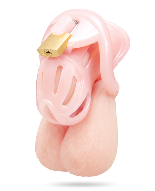 Degrading Bitchboy Pink Mini Cock Sissy Boy Chastity Cage showcasing a playful and compact design with locking feature.
