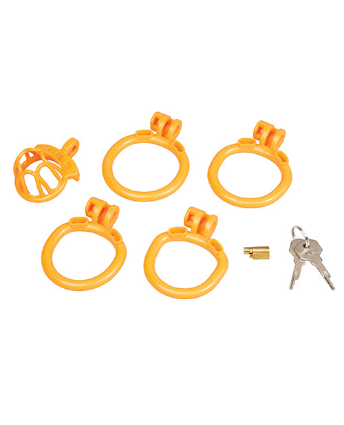Blue Line Fenced-In Inmate Mini Cock Chastity Case accessories with rings and lock.