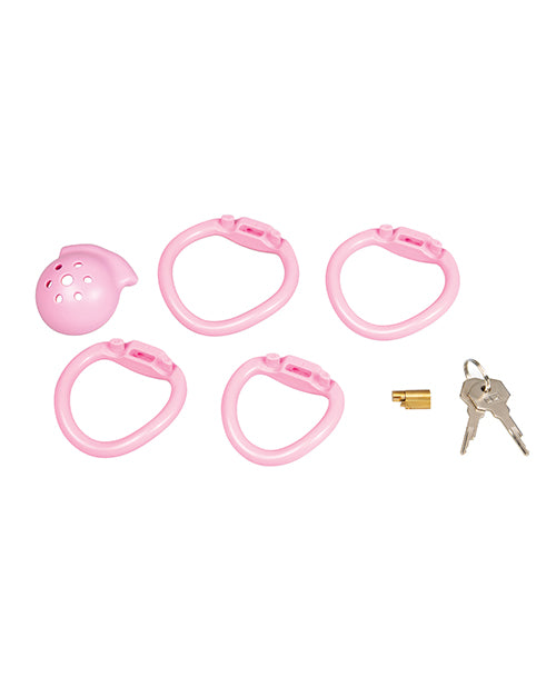 Blue Line Pussyboy Pink Mini Chastity Cage accessories including rings, lock, and keys.