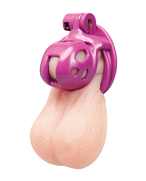 Blue Line 1 Inch Bitchboy Pink Prisoner Cock Cage showcased in playful pink design for male chastity play.