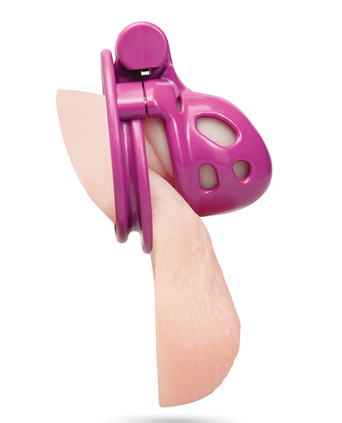 Blue Line 1 Inch Bitchboy Pink Prisoner Cock Cage showcasing the cheeky design and pink finish for male chastity play.