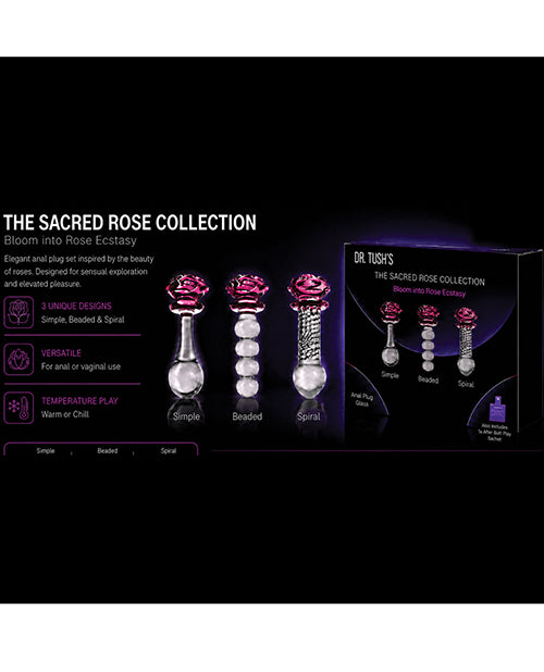 Dr Tush's Sacred Glass Rose Collection Anal Plug Set showcasing three unique designs: Simple, Beaded, and Spiral.