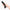 Person holding Fun Factory Magnum G-Spot Dildo Black with ergonomic design for pleasure.