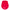 Bella Rose 10 Frequency Silicone Vibrator Red - Image 2