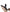 Pleasure Pivot App-Controlled Couples Vibrators Black