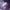 ZALO Lia Suction Massager Lavender Purple