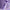 ZALO Lia Suction Massager Lavender Purple