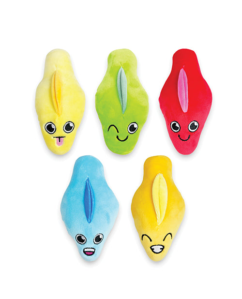 Little Genie Bag of Cunts Pillow Set Multi Color featuring five colorful plush pillows.