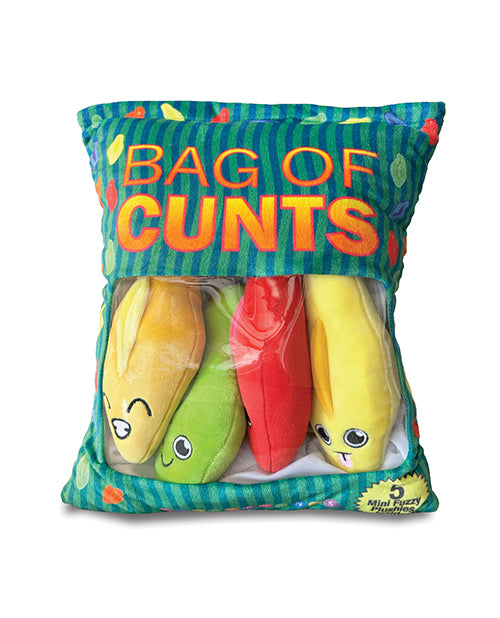 Little Genie Bag of Cunts Pillow Set Multi Color plush pillows, colorful and bold, ideal for conversation starters.