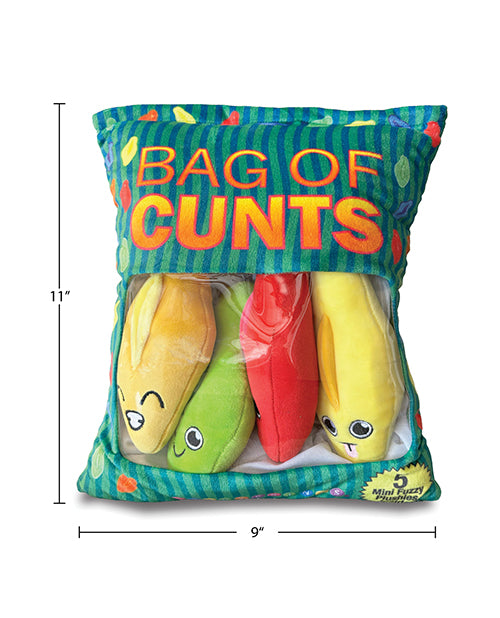 Little Genie Bag of Cunts Pillow Set Multi Color featuring colorful plush pillows in a clear bag.