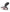 Thrillz Sec Bro Silicone Prostate Massager with Remote - Image 5