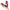 Tracy's Dog OG Clitoral Sucking Vibrator Purple held in hand showcasing its sleek design and silicone texture.