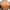 Master Series Perky Pair D-Cup Wearable Silicone Breasts shown from the back on a model for cosplay and drag use.