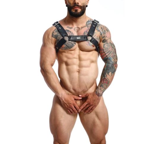 Male Basics DNGEON Classic Belt Harness Black One Size
