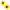 Pastease Gold Sunflower Pasties Nipple Covers featuring bright, decorative sunflower shapes in a soft matte finish.